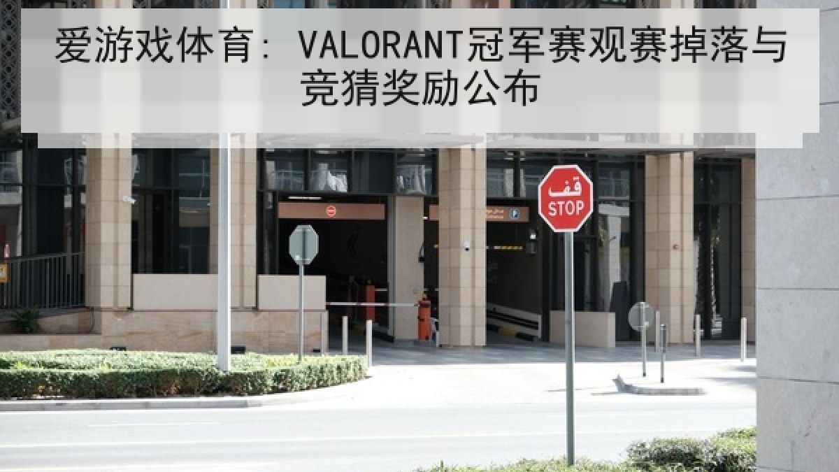 爱游戏体育: VALORANT冠军赛观赛掉落与竞猜奖励公布