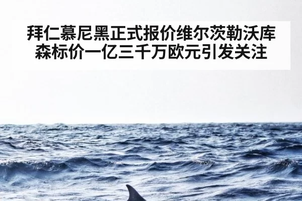拜仁慕尼黑正式报价维尔茨勒沃库森标价一亿三千万欧元引发关注